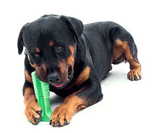 Load image into Gallery viewer, Dog Pet Supplies Dog Chew Toys Dogs Toothbrush Pet Molar Tooth Cleaner Brushing Stick Doggy Puppy Dental Care